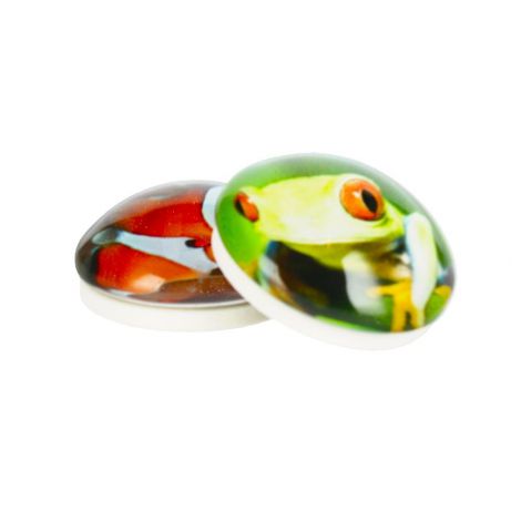Magnesy Magnet Ryba/Żaba, 2szt 3.5cm - 2